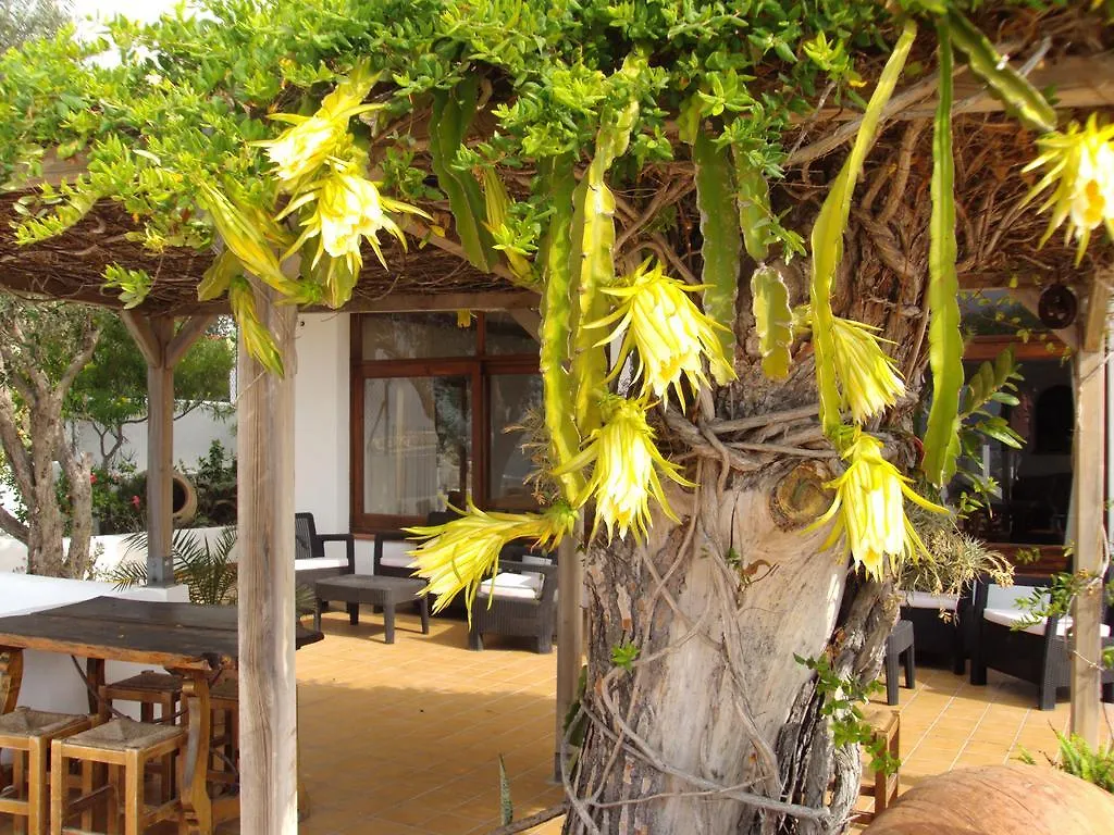 Hostal Marblau Ibiza Pensionat Ibiza stad